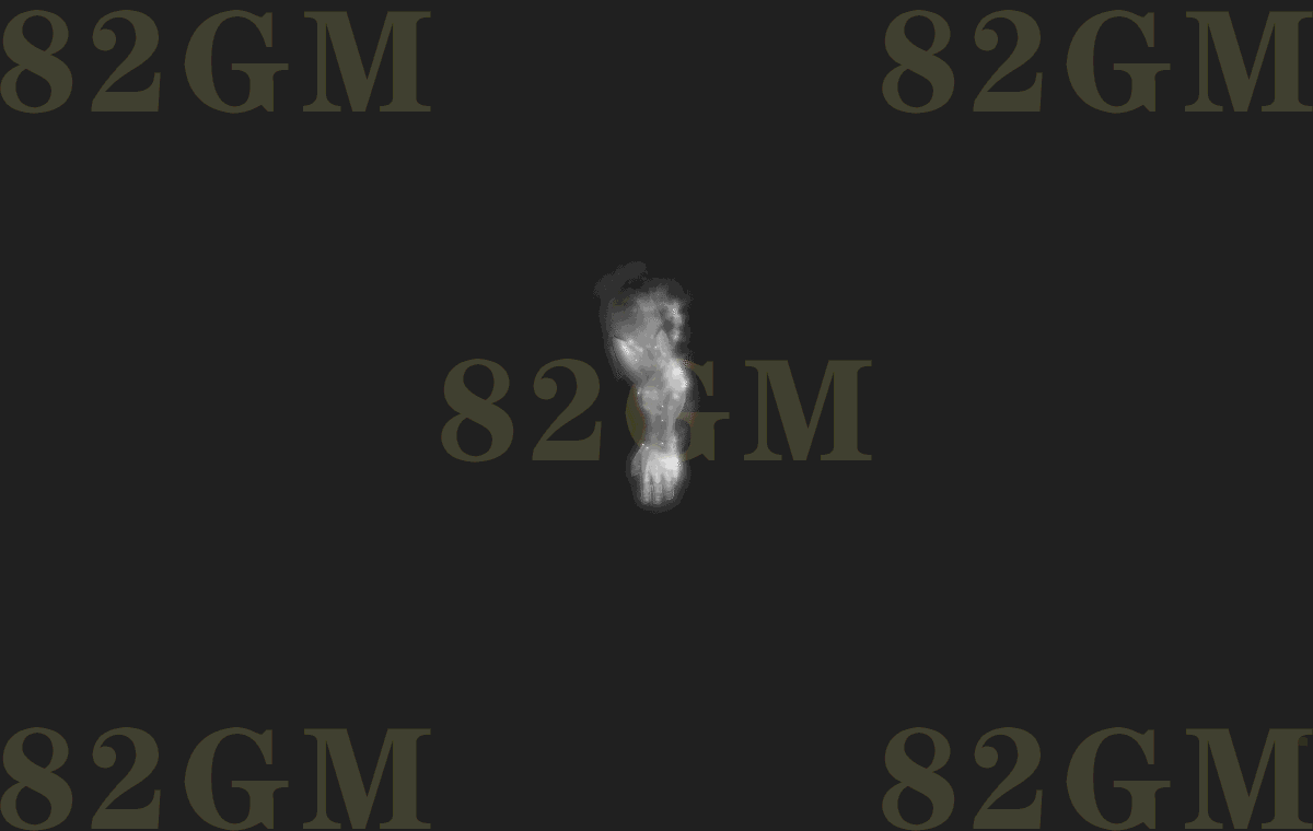 dp0219-1